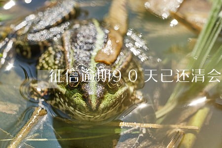 征信逾期90天已还清会消除吗 征信逾期90天已还清会消除吗