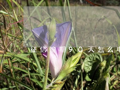征信逾期90天怎么申请信用卡 征信逾期90天怎么申请信用卡