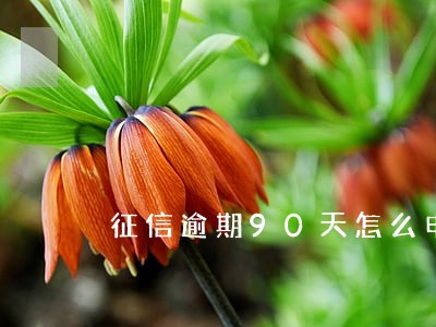 征信逾期90天怎么申请网贷 征信逾期90天怎么申请网贷