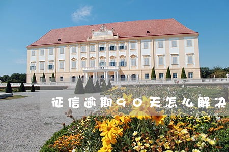 征信逾期90天怎么解决 征信逾期90天怎么解决