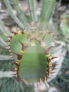 征信逾期90天申请信用卡通过 征信逾期90天申请信用卡通过