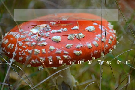 征信逾期90能贷房贷吗