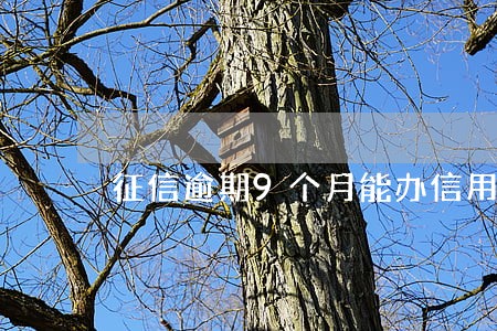 征信逾期9个月能办信用卡吗 征信逾期9个月能办信用卡吗