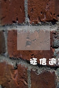 征信逾期9次能买车么 征信逾期9次能买车么