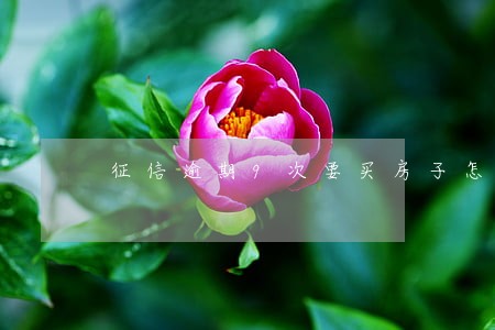 征信逾期9次要买房子怎么办 征信逾期9次要买房子怎么办