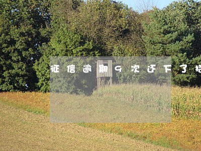 征信逾期9次还下了招联好期贷 征信逾期9次还下了招联好期贷