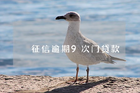 征信逾期9次门贷款 征信逾期9次门贷款