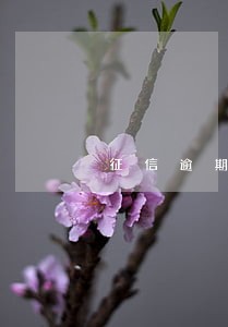 征信逾期一个可以办信用卡吗 征信逾期一个可以办信用卡吗