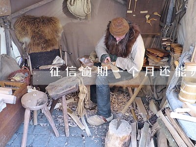 征信逾期一个月还能办信用卡 征信逾期一个月还能办信用卡