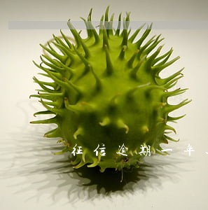 征信逾期一年还能办信用卡吗 征信逾期一年还能办信用卡吗