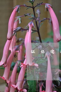 征信逾期一次5年才能消除吗 征信逾期一次5年才能消除吗