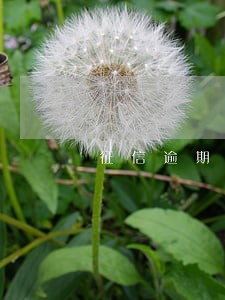 征信逾期一次可以办信用卡么 征信逾期一次可以办信用卡么