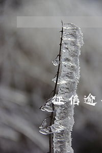 征信逾期一次多久能贷款 征信逾期一次多久能贷款