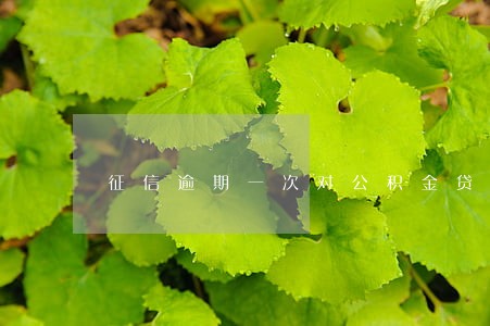 征信逾期一次对公积金贷款