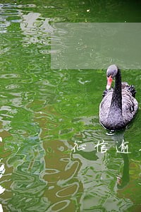 征信逾期一次影响买车贷款吗 征信逾期一次影响买车贷款吗