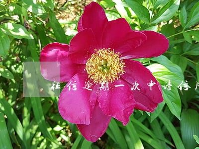 征信逾期一次申请信用卡嘛 征信逾期一次申请信用卡嘛