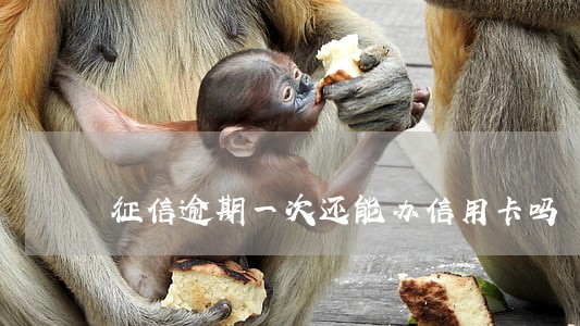 征信逾期一次还能办信用卡吗