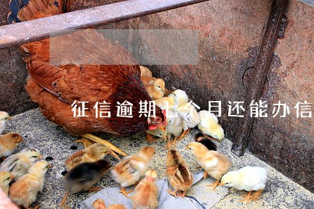 征信逾期七个月还能办信用卡吗 征信逾期七个月还能办信用卡吗