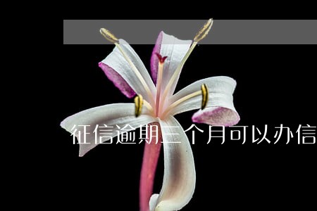 征信逾期三个月可以办信用卡吗 征信逾期三个月可以办信用卡吗