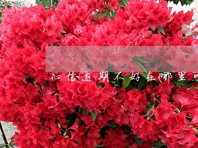 征信逾期不好在哪里可以贷款 征信逾期不好在哪里可以贷款