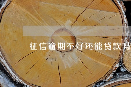 征信逾期不好还能贷款吗 征信逾期不好还能贷款吗