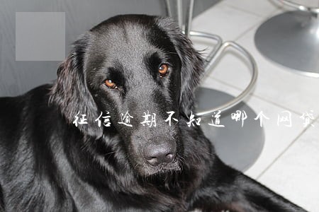 征信逾期不知道哪个网贷平台 征信逾期不知道哪个网贷平台