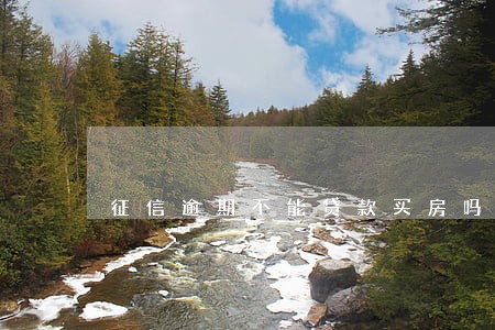 征信逾期不能贷款买房吗