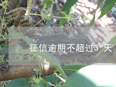 征信逾期不超过3天 征信逾期不超过3天