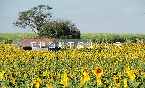 征信逾期不超过90天 征信逾期不超过90天