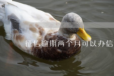 征信逾期两个月可以办信用卡吗 征信逾期两个月可以办信用卡吗