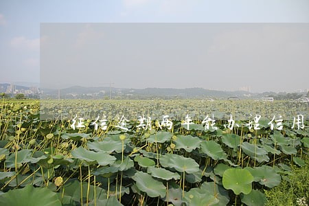 征信逾期两年能办理信用卡吗 征信逾期两年能办理信用卡吗