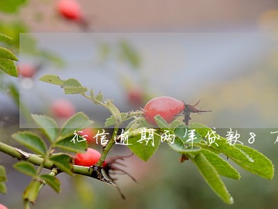 征信逾期两年贷款8万 征信逾期两年贷款8万