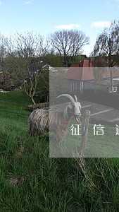 征信逾期两次办信用卡