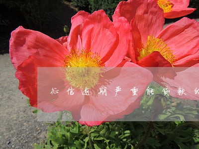 征信逾期严重能贷款的app 征信逾期严重能贷款的app