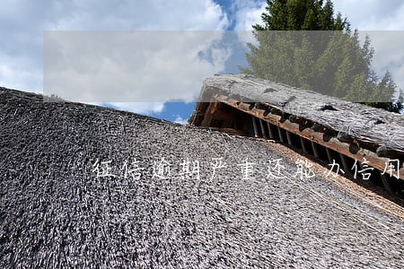 征信逾期严重还能办信用卡吗