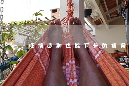 征信逾期也能下卡的信用卡 征信逾期也能下卡的信用卡