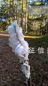 征信逾期了2020在哪借款 征信逾期了2020在哪借款