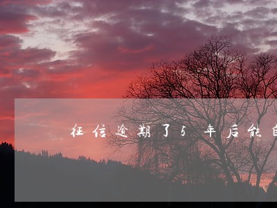 征信逾期了5年后能自动消除吗 征信逾期了5年后能自动消除吗