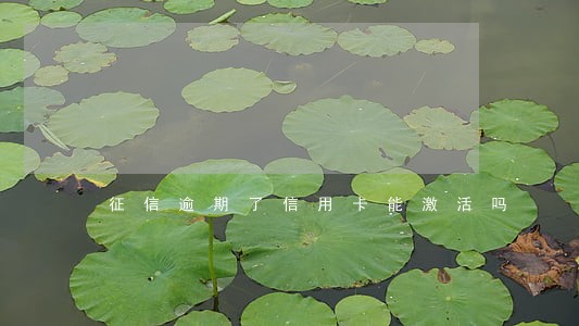 征信逾期了信用卡能激活吗 征信逾期了信用卡能激活吗