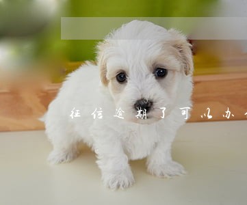征信逾期了可以办信用卡 征信逾期了可以办信用卡
