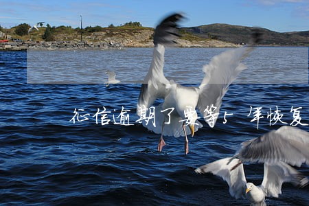 征信逾期了要等5年恢复吗
