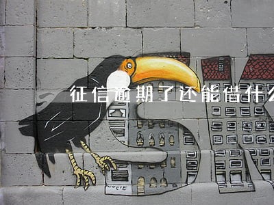 征信逾期了还能借什么网贷 征信逾期了还能借什么网贷