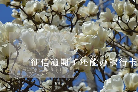 征信逾期了还能办银行卡吗 征信逾期了还能办银行卡吗