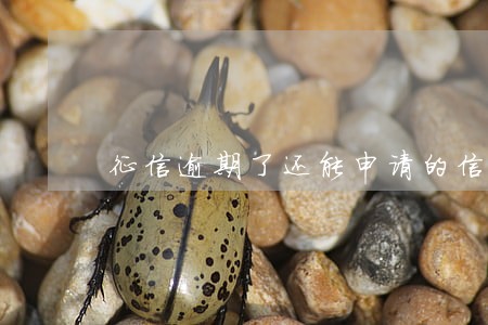 征信逾期了还能申请的信用卡招商 征信逾期了还能申请的信用卡招商
