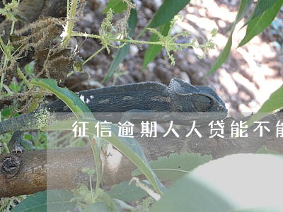 征信逾期人人贷能不能下额度 征信逾期人人贷能不能下额度