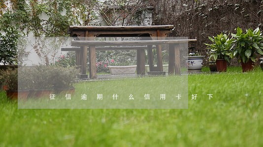 征信逾期什么信用卡好下