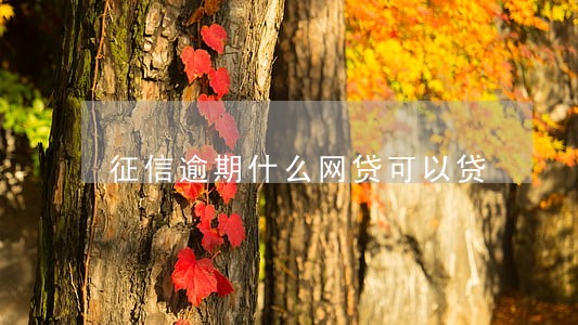 征信逾期什么网贷可以贷