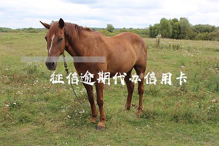 征信逾期代办信用卡 征信逾期代办信用卡