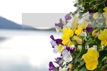 征信逾期会被停用信用卡吗 征信逾期会被停用信用卡吗