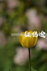 征信逾期但是金额0 征信逾期但是金额0